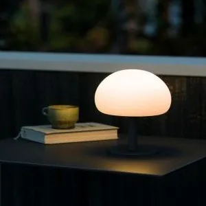 Draagbare lampen